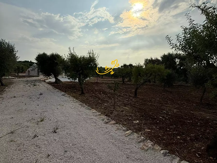 Immagine 5 di Baita in vendita  in C.da Marchione a Castellana Grotte