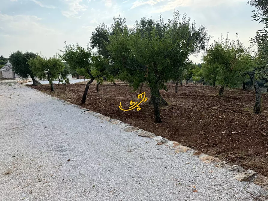 Immagine 6 di Baita in vendita  in C.da Marchione a Castellana Grotte