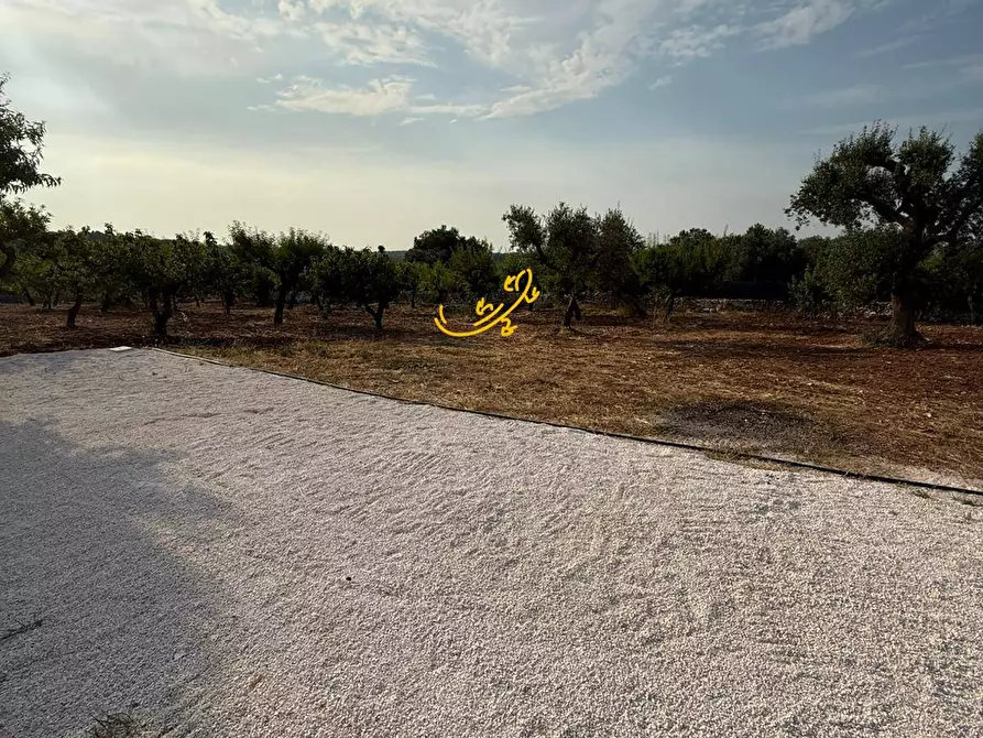 Immagine 7 di Baita in vendita  in C.da Marchione a Castellana Grotte