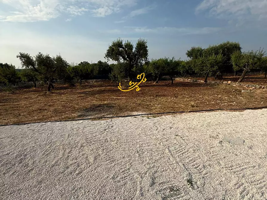 Immagine 12 di Baita in vendita  in C.da Marchione a Castellana Grotte