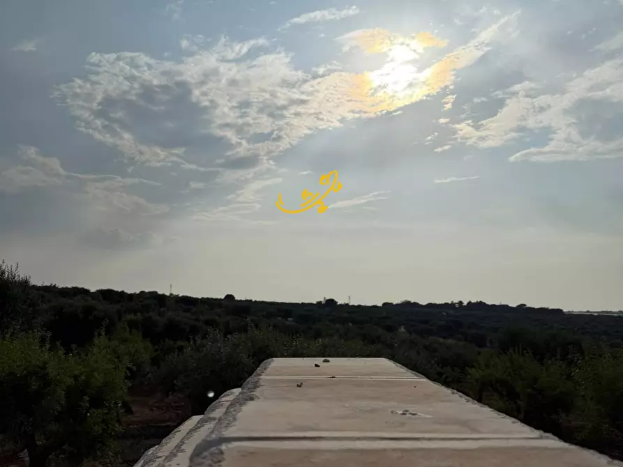 Immagine 32 di Baita in vendita  in C.da Marchione a Castellana Grotte