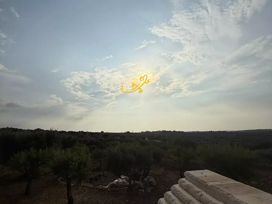 Immagine 33 di Baita in vendita  in C.da Marchione a Castellana Grotte