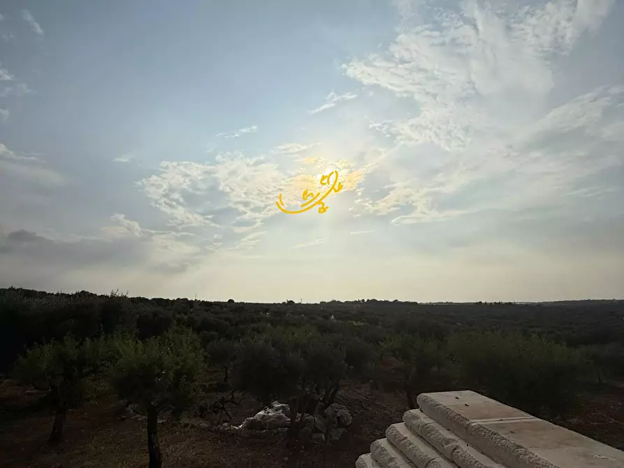 Immagine 34 di Baita in vendita  in C.da Marchione a Castellana Grotte