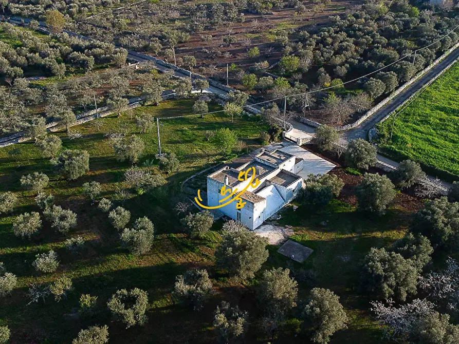 Immagine 3 di Rustico / casale in vendita  in C.da Cervarulo a Monopoli