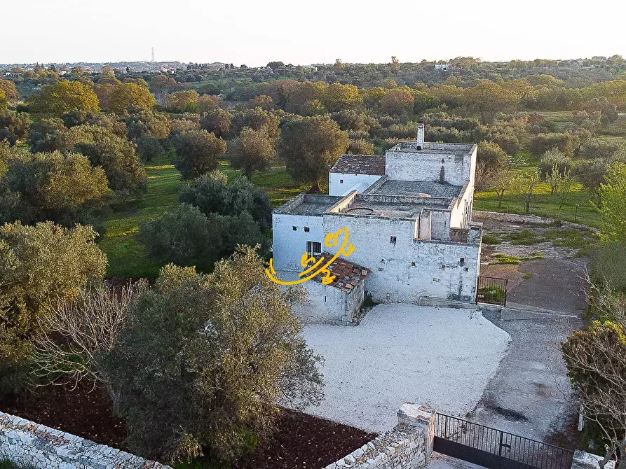 Immagine 7 di Rustico / casale in vendita  in C.da Cervarulo a Monopoli
