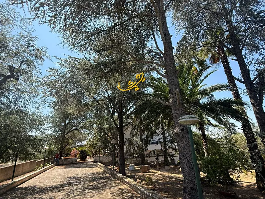 Immagine 8 di Villa in vendita  in SC Pozzo Serralto 115A a Putignano