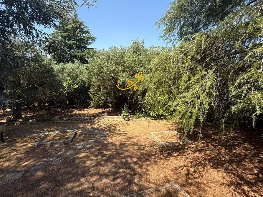 Immagine 9 di Villa in vendita  in SC Pozzo Serralto 115A a Putignano