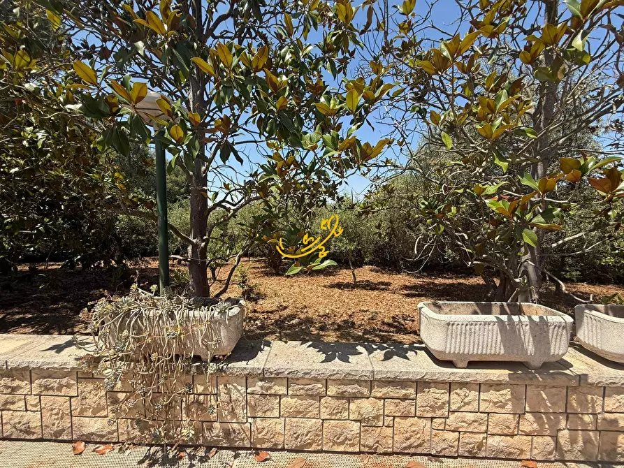 Immagine 13 di Villa in vendita  in SC Pozzo Serralto 115A a Putignano