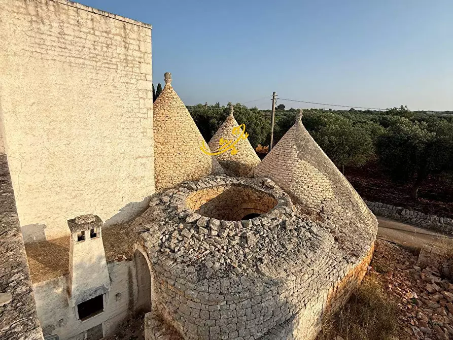 Immagine 29 di Rustico / casale in vendita  in S.C. Monte Della Vecchia a Polignano A Mare