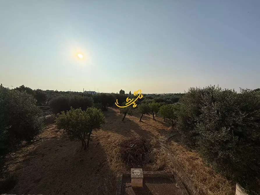 Immagine 30 di Rustico / casale in vendita  in S.C. Monte Della Vecchia a Polignano A Mare