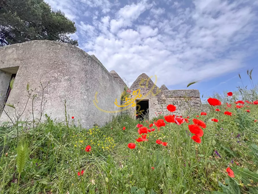 Immagine 2 di Baita in vendita  in Carpari a Martina Franca