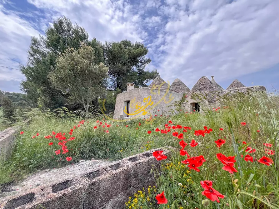 Immagine 4 di Baita in vendita  in Carpari a Martina Franca