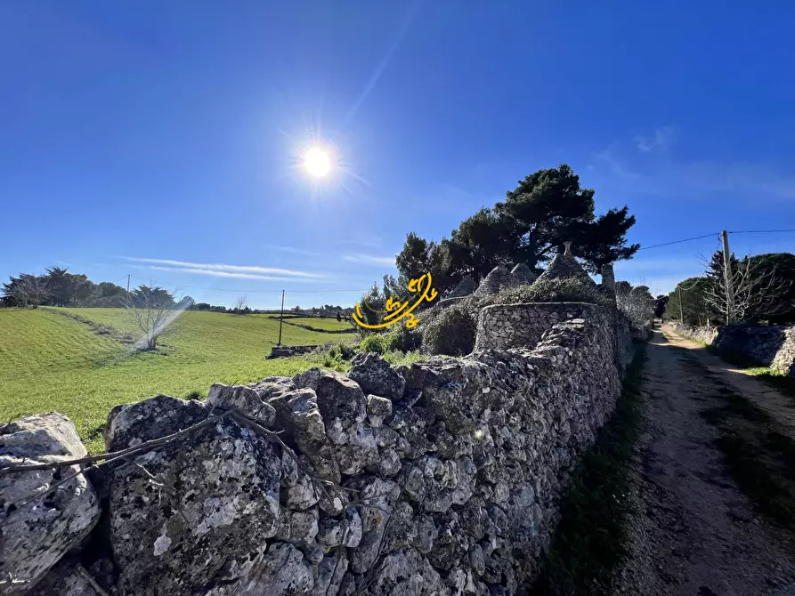 Immagine 10 di Baita in vendita  in Carpari a Martina Franca
