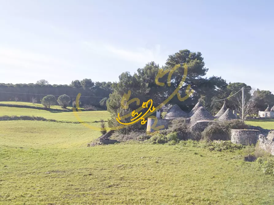 Immagine 8 di Baita in vendita  in Carpari a Martina Franca