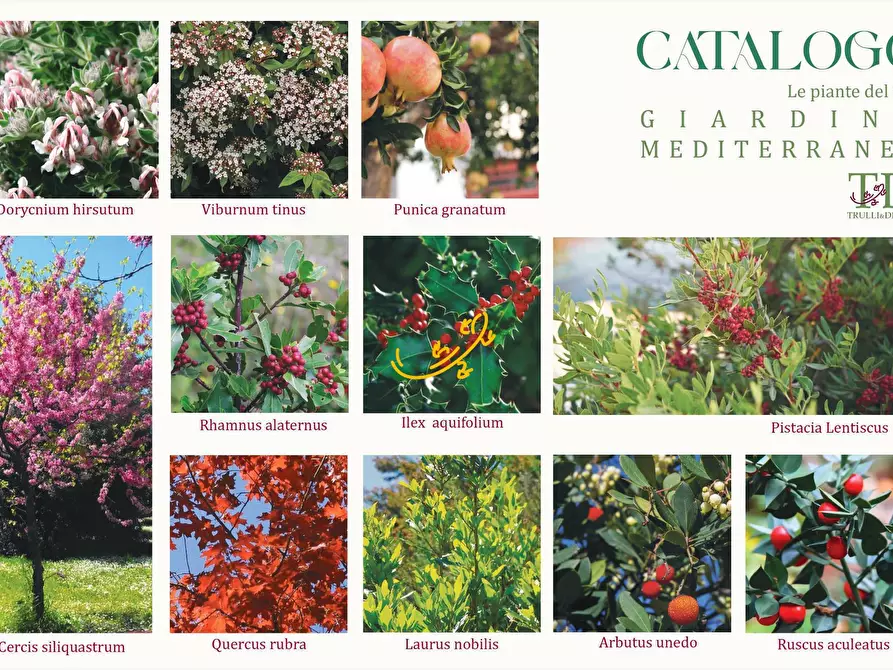 Immagine 26 di Baita in vendita  in Carpari a Martina Franca