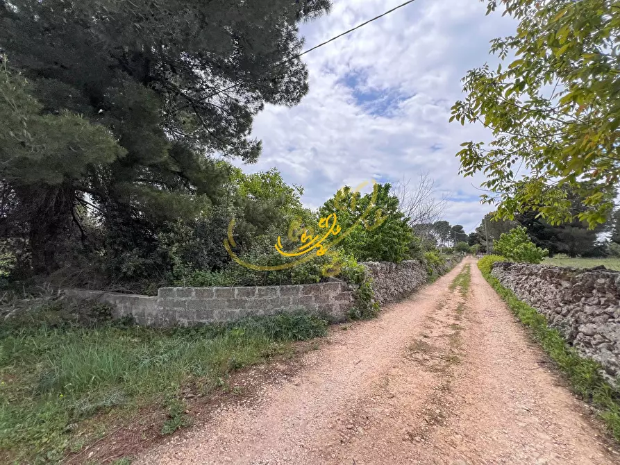 Immagine 19 di Baita in vendita  in Carpari a Martina Franca