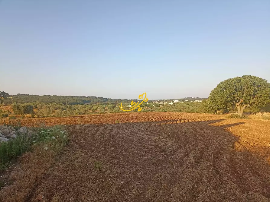 Immagine 7 di Baita in vendita  in C.da Carpari a Martina Franca