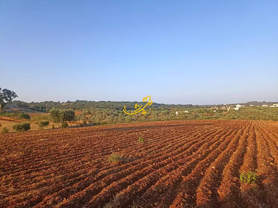 Immagine 10 di Baita in vendita  in C.da Carpari a Martina Franca