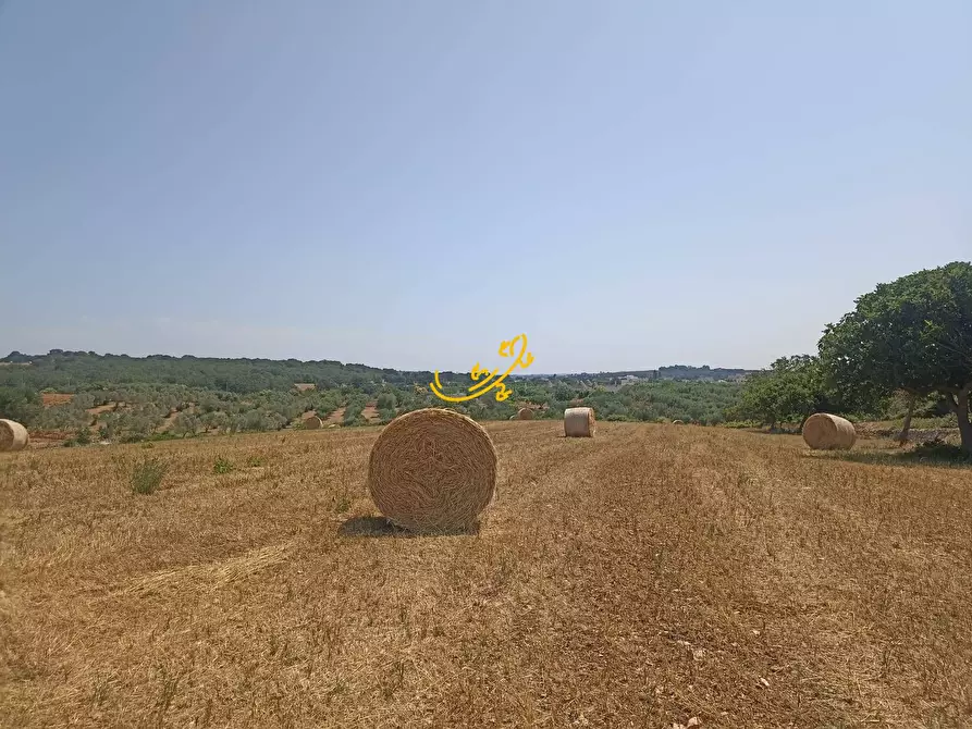 Immagine 15 di Baita in vendita  in C.da Carpari a Martina Franca