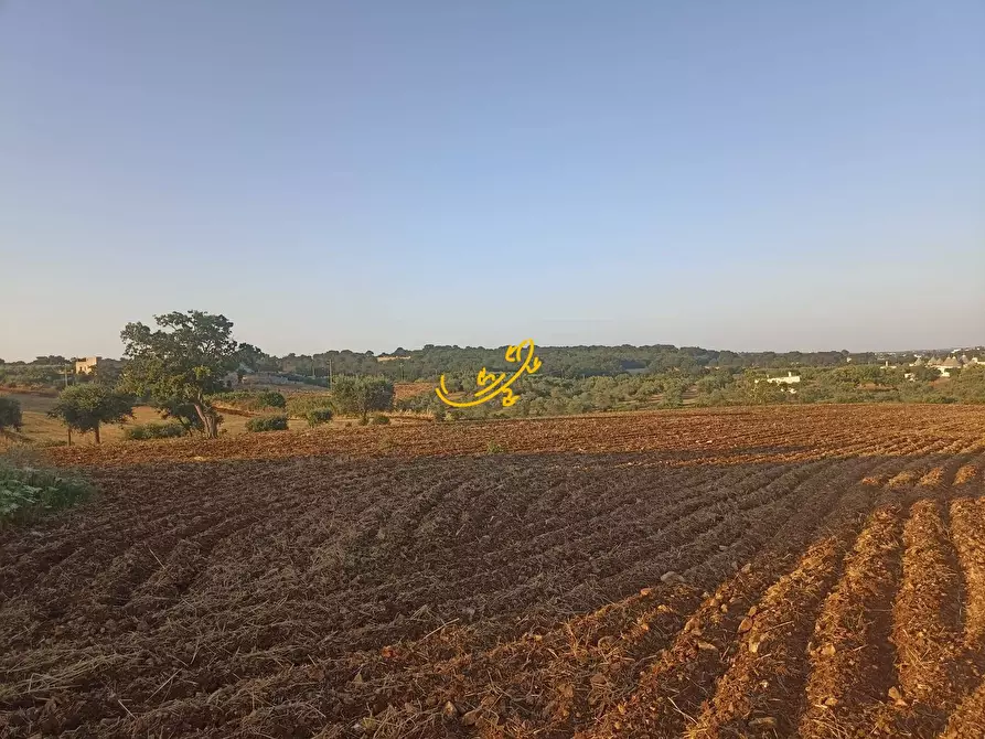 Immagine 11 di Baita in vendita  in C.da Carpari a Martina Franca