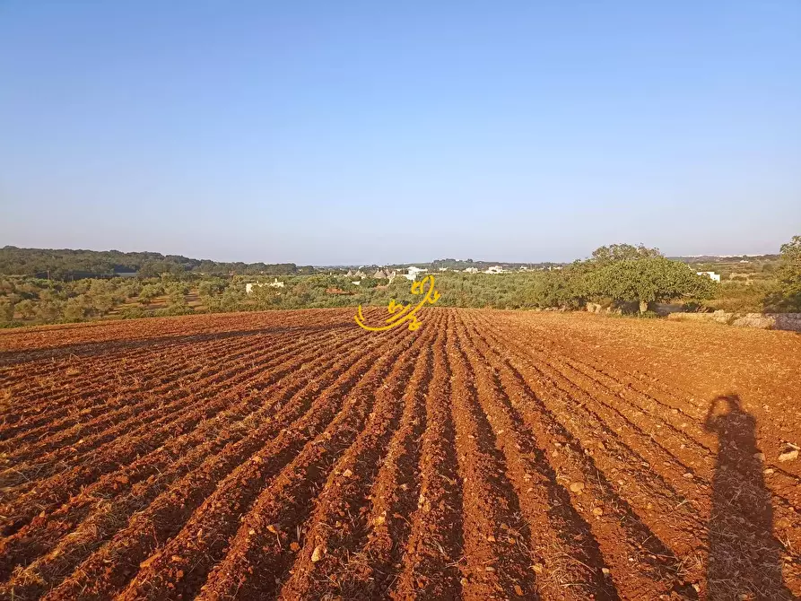 Immagine 12 di Baita in vendita  in C.da Carpari a Martina Franca