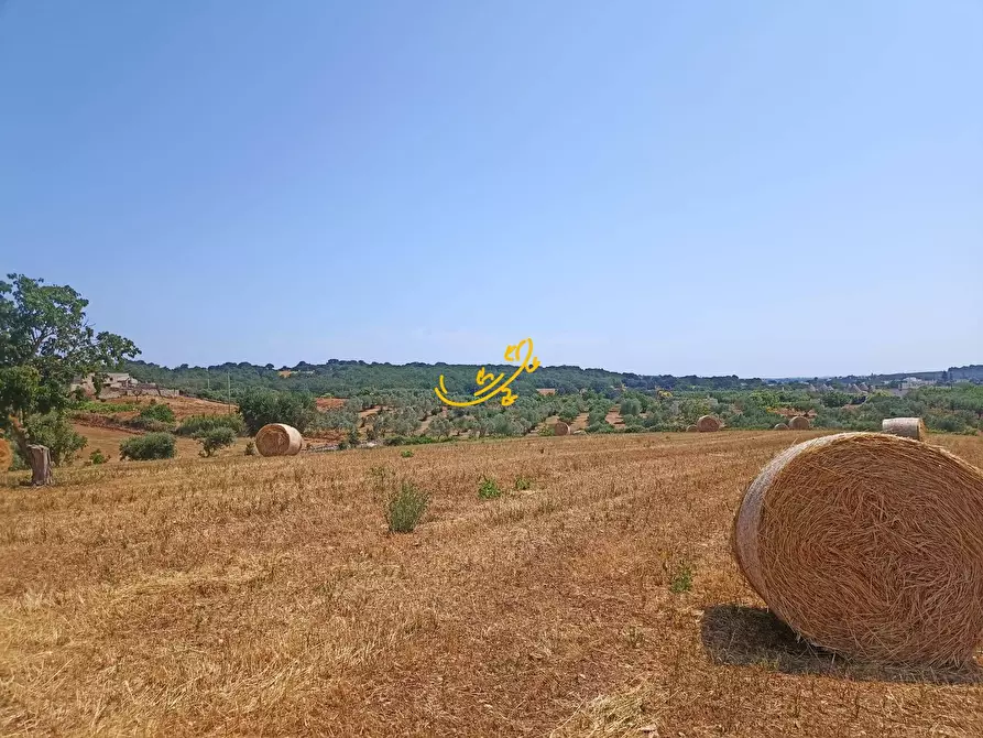 Immagine 16 di Baita in vendita  in C.da Carpari a Martina Franca
