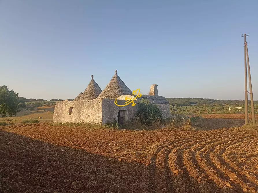 Immagine 6 di Baita in vendita  in C.da Carpari a Martina Franca