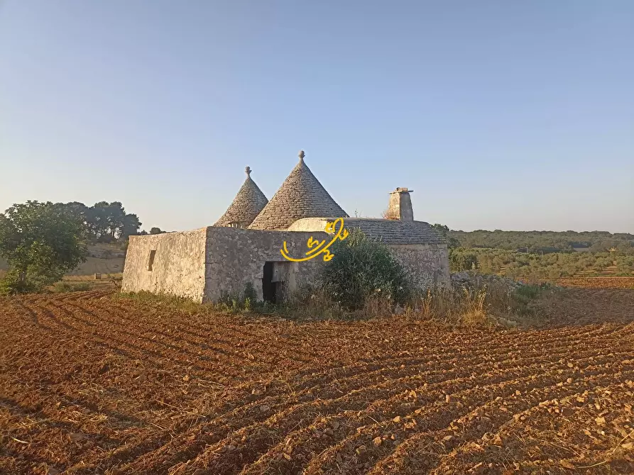 Immagine 5 di Baita in vendita  in C.da Carpari a Martina Franca