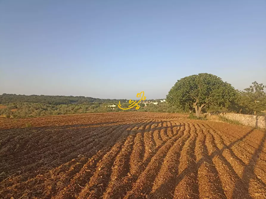 Immagine 9 di Baita in vendita  in C.da Carpari a Martina Franca