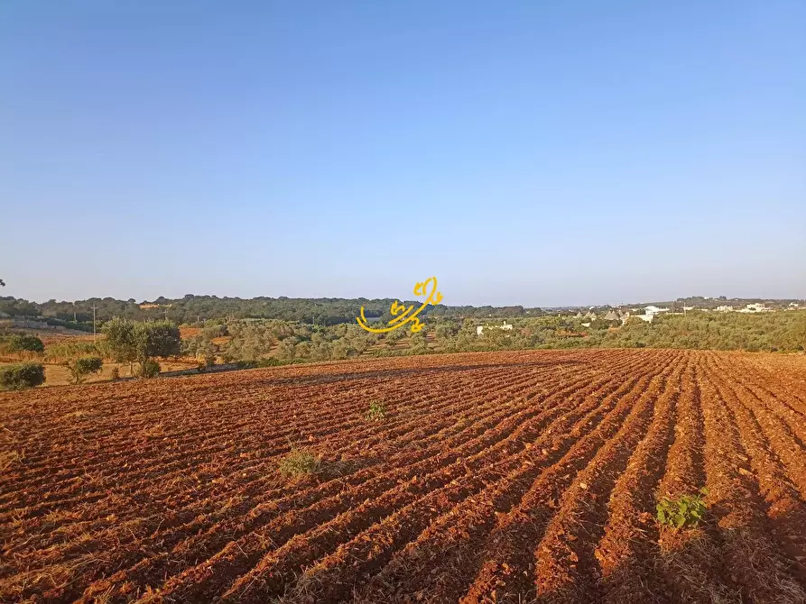 Immagine 13 di Baita in vendita  in C.da Carpari a Martina Franca