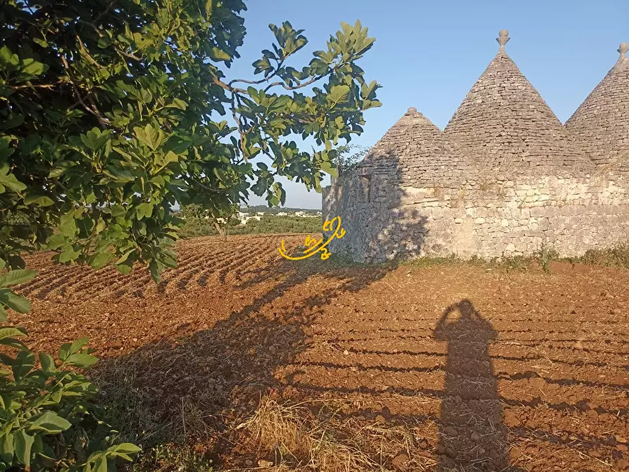 Immagine 18 di Baita in vendita  in C.da Carpari a Martina Franca