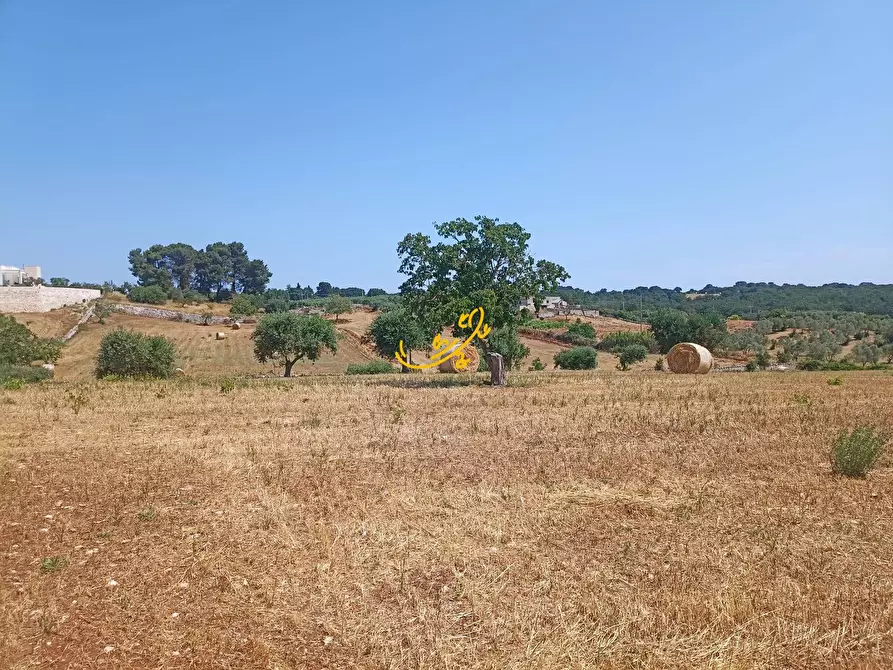 Immagine 19 di Baita in vendita  in C.da Carpari a Martina Franca