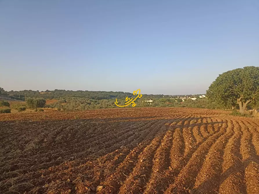 Immagine 14 di Baita in vendita  in C.da Carpari a Martina Franca