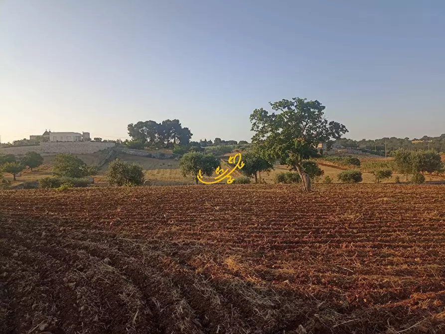 Immagine 21 di Baita in vendita  in C.da Carpari a Martina Franca