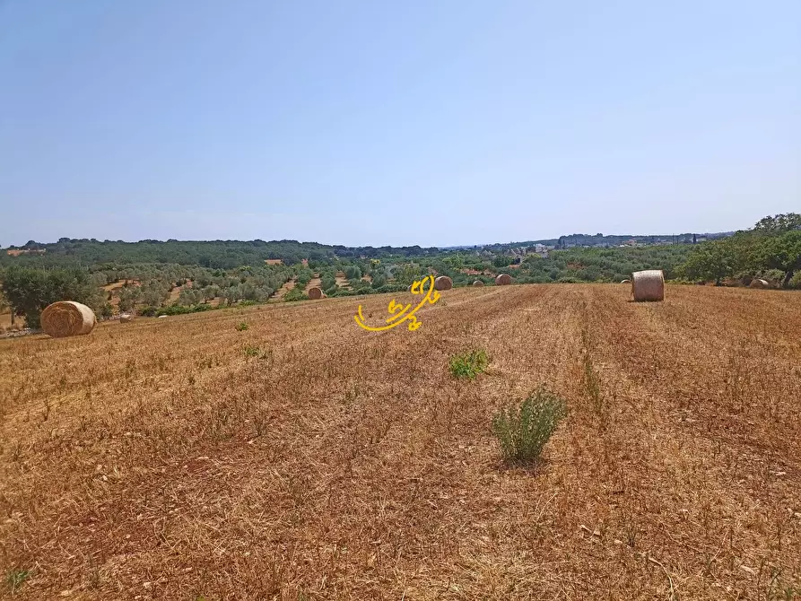 Immagine 24 di Baita in vendita  in C.da Carpari a Martina Franca