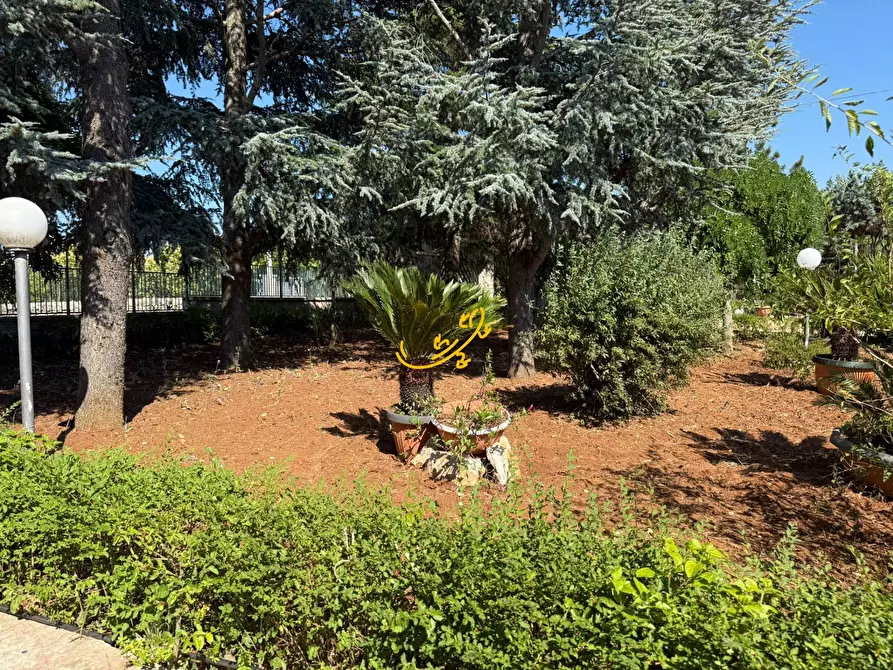 Immagine 3 di Villa in vendita  in Laureto a Fasano