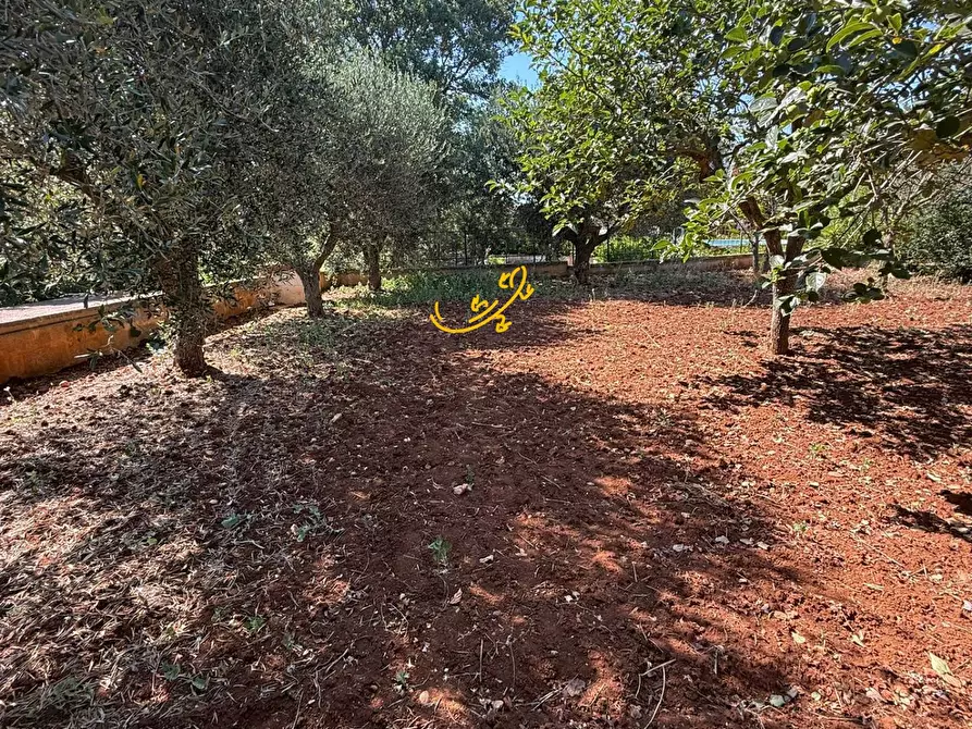 Immagine 24 di Villa in vendita  in Laureto a Fasano