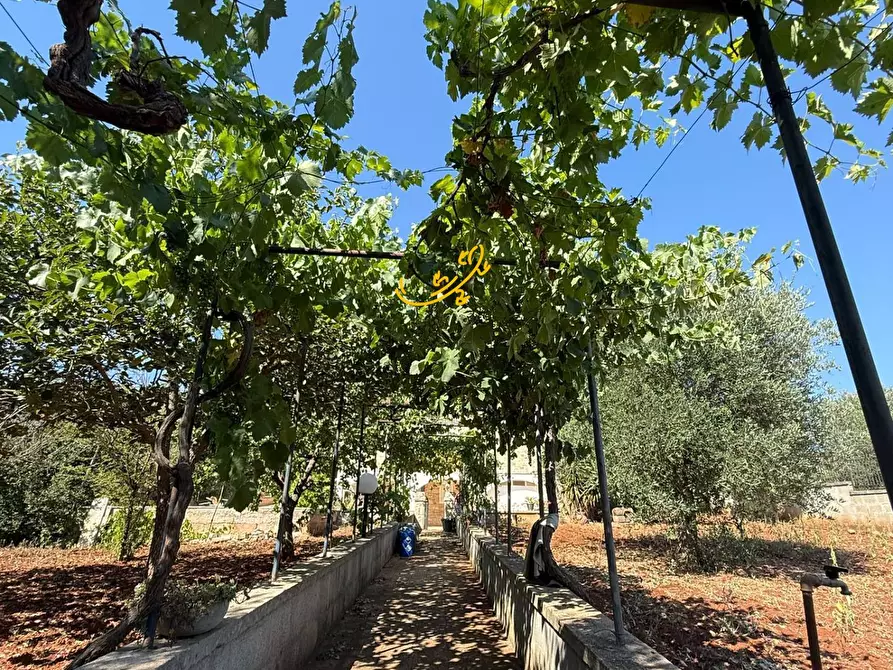 Immagine 25 di Villa in vendita  in Laureto a Fasano