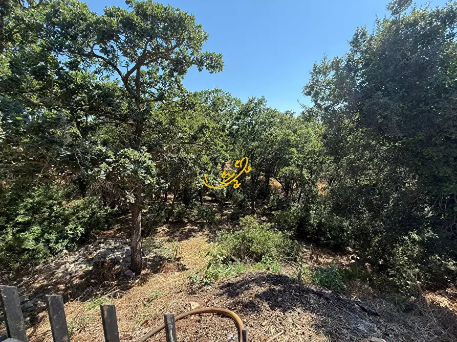 Immagine 26 di Villa in vendita  in Laureto a Fasano