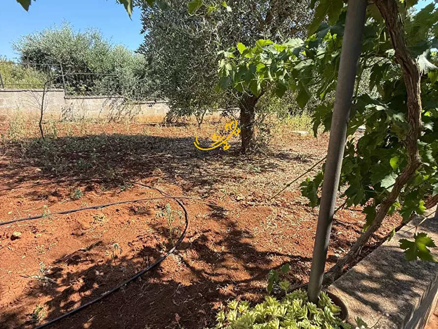 Immagine 28 di Villa in vendita  in Laureto a Fasano