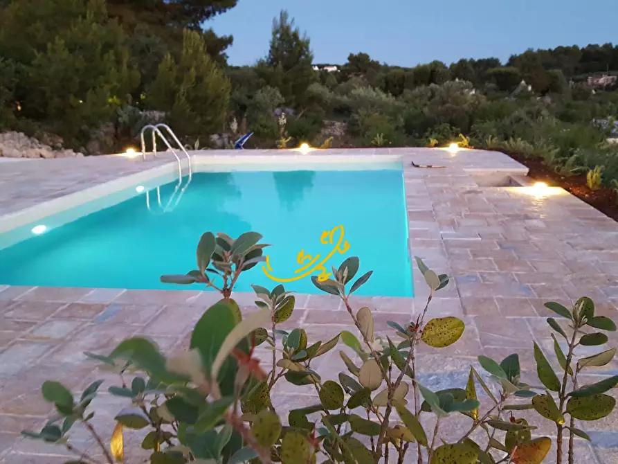 Immagine 22 di Baita in vendita  in S.C. Interno Grande a Putignano