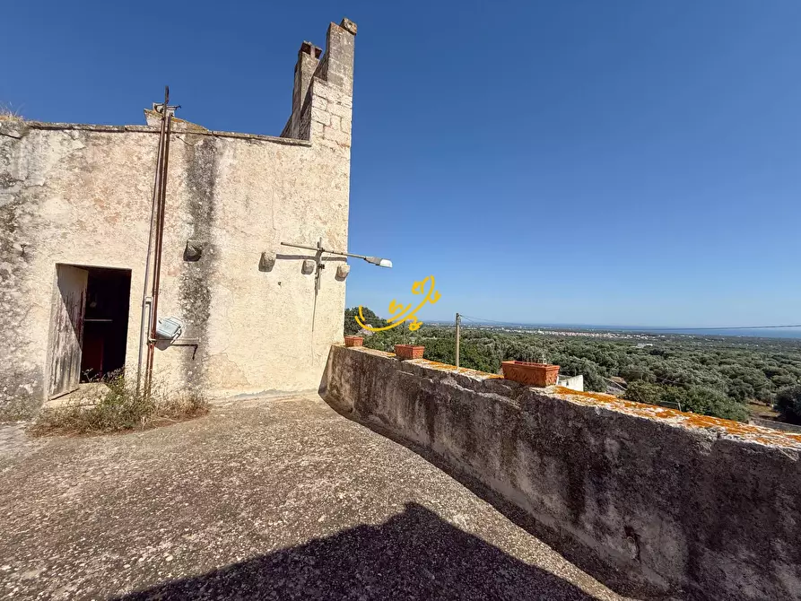 Immagine 14 di Rustico / casale in vendita  in Pozzo Faceto a Cisternino