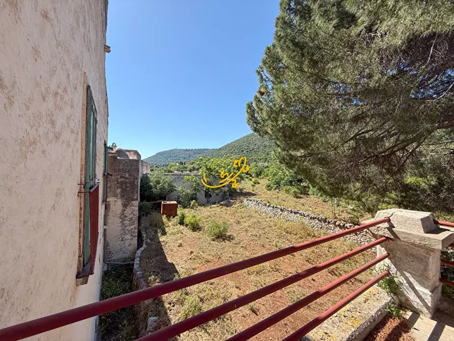 Immagine 16 di Rustico / casale in vendita  in Pozzo Faceto a Cisternino