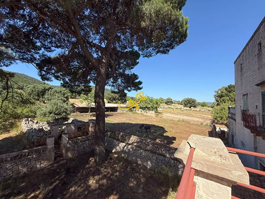 Immagine 17 di Rustico / casale in vendita  in Pozzo Faceto a Cisternino