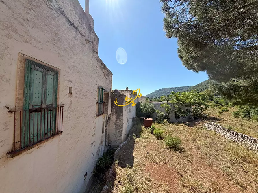 Immagine 19 di Rustico / casale in vendita  in Pozzo Faceto a Cisternino