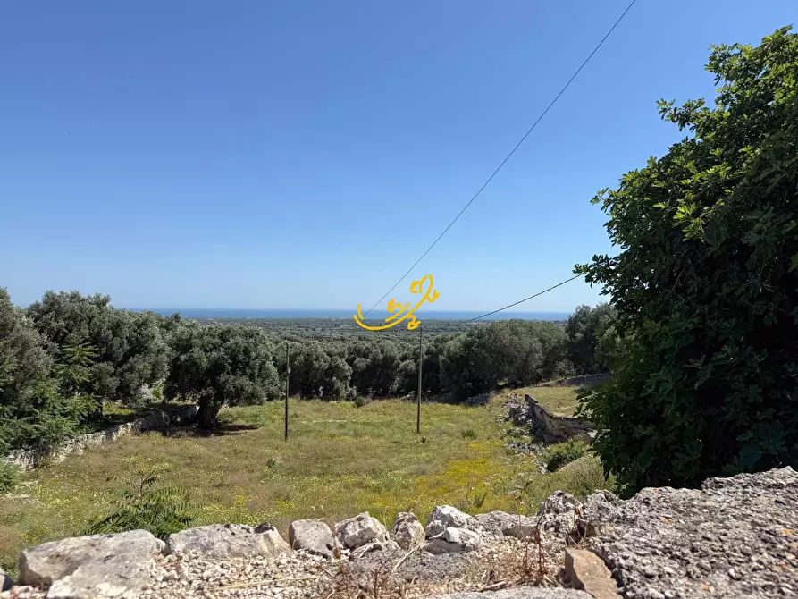 Immagine 34 di Rustico / casale in vendita  in Pozzo Faceto a Cisternino