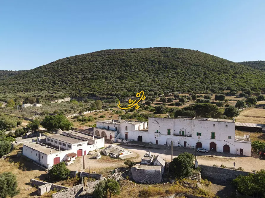 Immagine 7 di Rustico / casale in vendita  in Pozzo Faceto a Cisternino