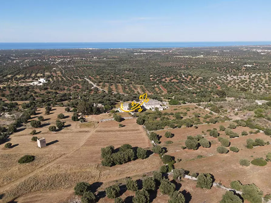 Immagine 2 di Rustico / casale in vendita  in Pozzo Faceto a Cisternino