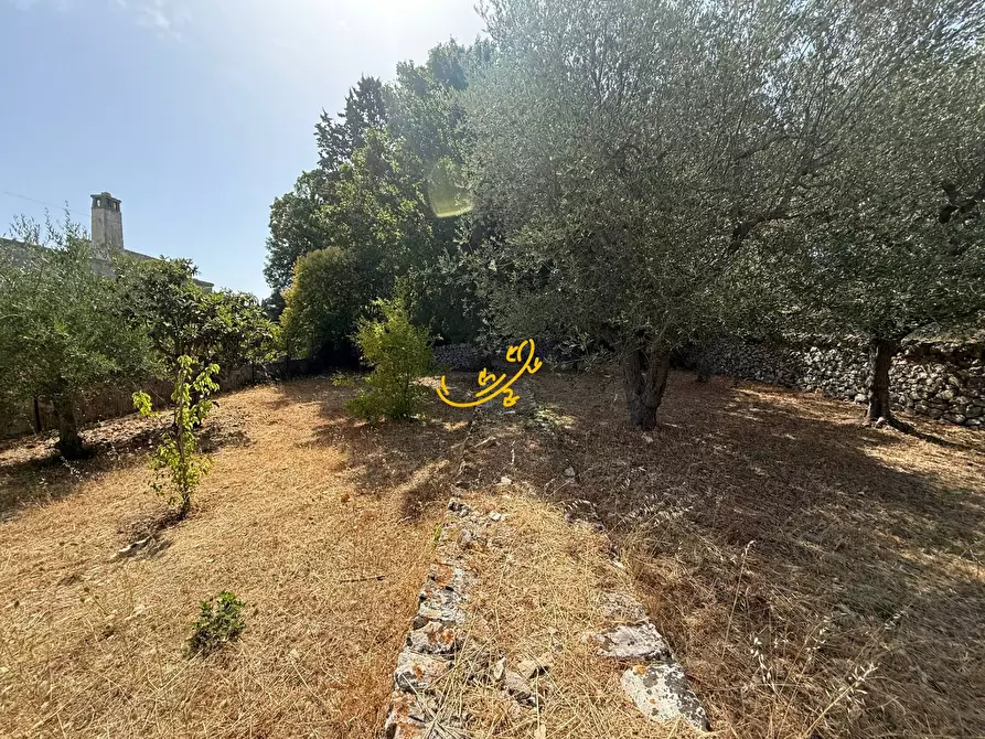 Immagine 29 di Villa in vendita  in C.da Laureto a Fasano