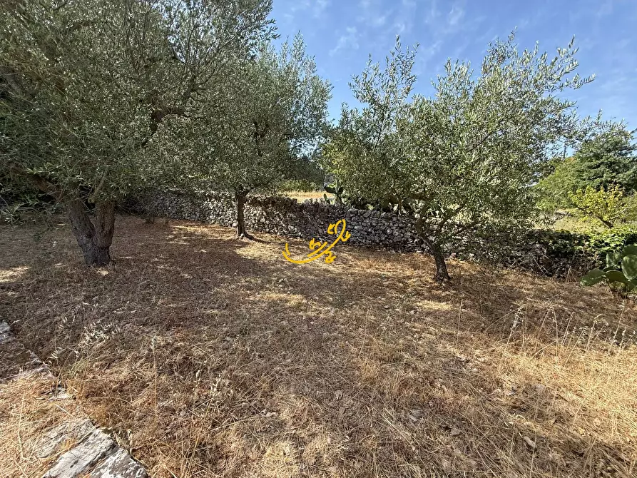 Immagine 30 di Villa in vendita  in C.da Laureto a Fasano